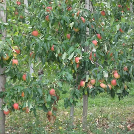 Argenpark Kressbronn Comfortable